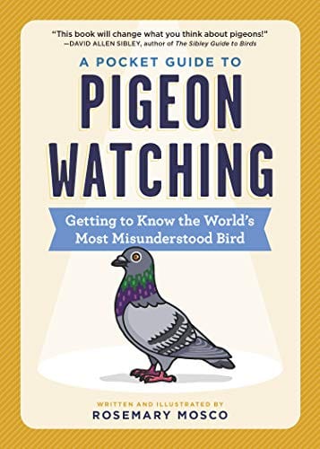 Mosco, Rosemary - A Pocket Guide to Pigeon Watching: Getting to Know the World's Most Misunderstood Bird - Paperback