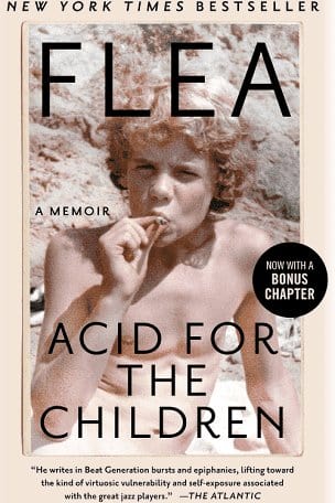 Acid for the Children: A Memoir