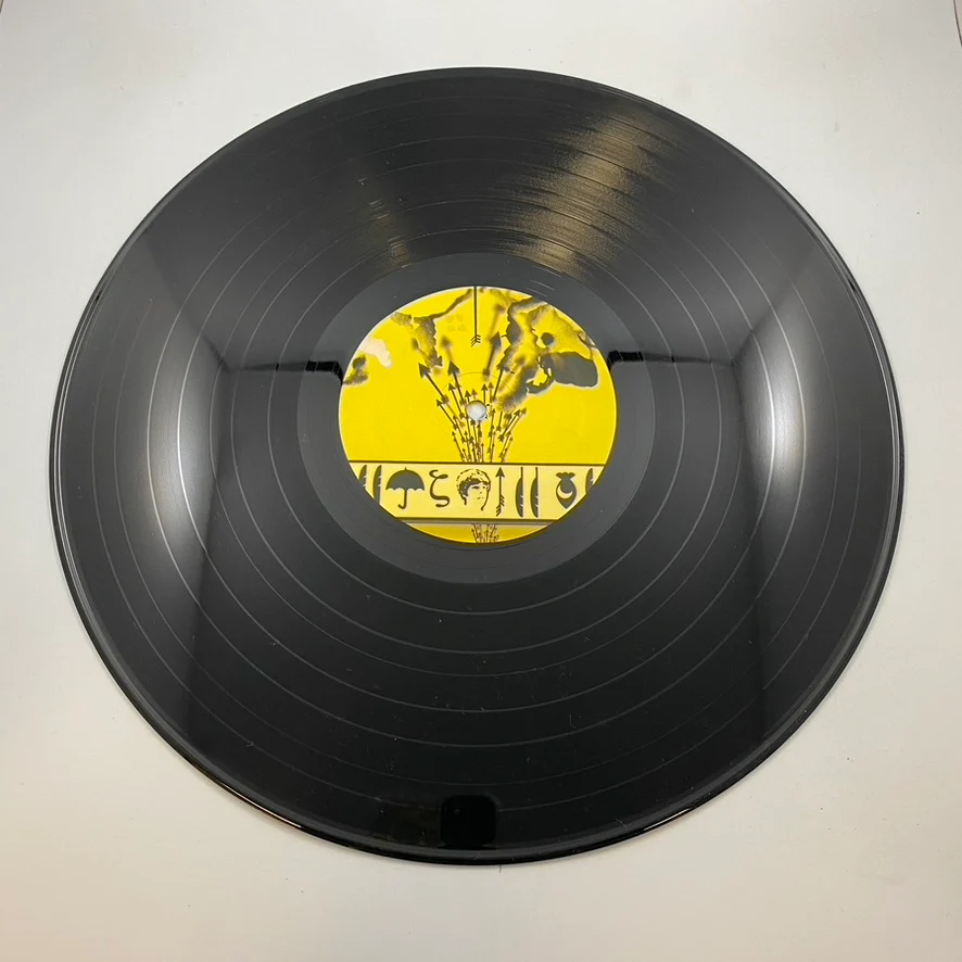 Adam Green – Friends Of Mine LP USED Vinyl NM/VG+ - Image 4