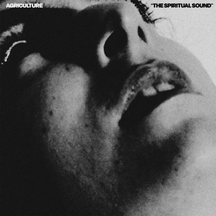 Agriculture - The Spiritual Sound LP NEW