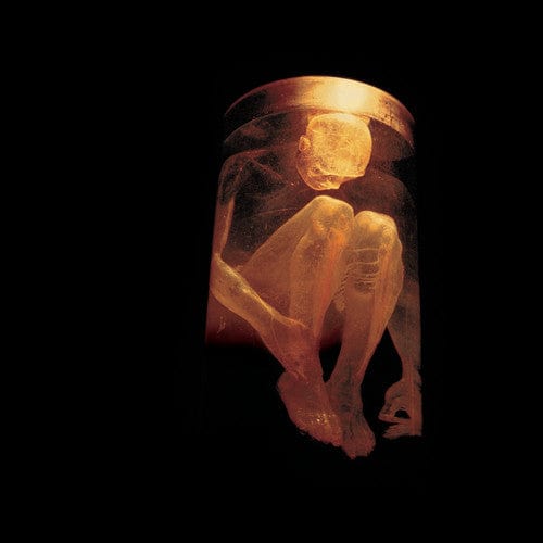 Alice in Chains - Nothing Safe: Best Of CD NEW