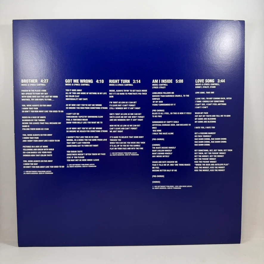 Alice In Chains – Sap LP USED Vinyl VG++/NM - Image 3