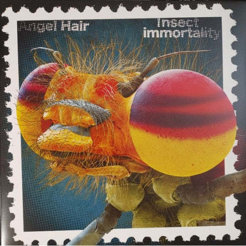 Angel Hair - Insect Immortality LP NEW