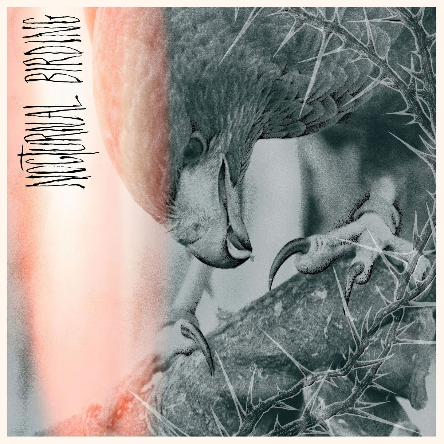 Author & Punisher - Nocturnal Birding LP NEW