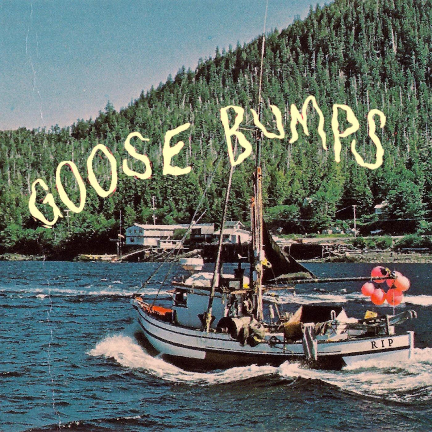 Boyscott - Goose Bumps LP NEW