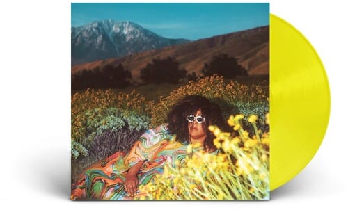 Brittany Howard - What Now LP NEW INDIE EXCLUSIVE