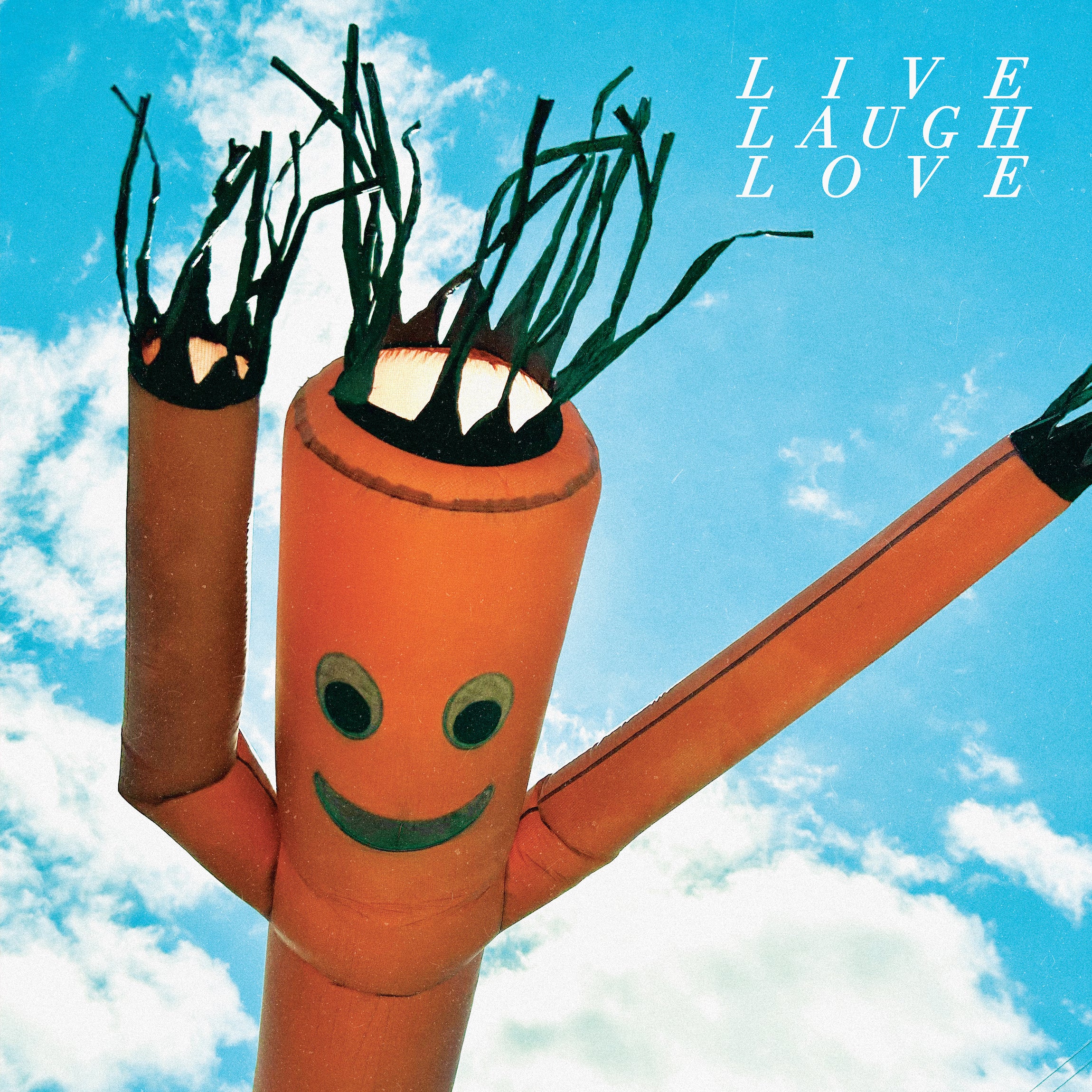 Chastity Belt - Live Laugh Love LP NEW