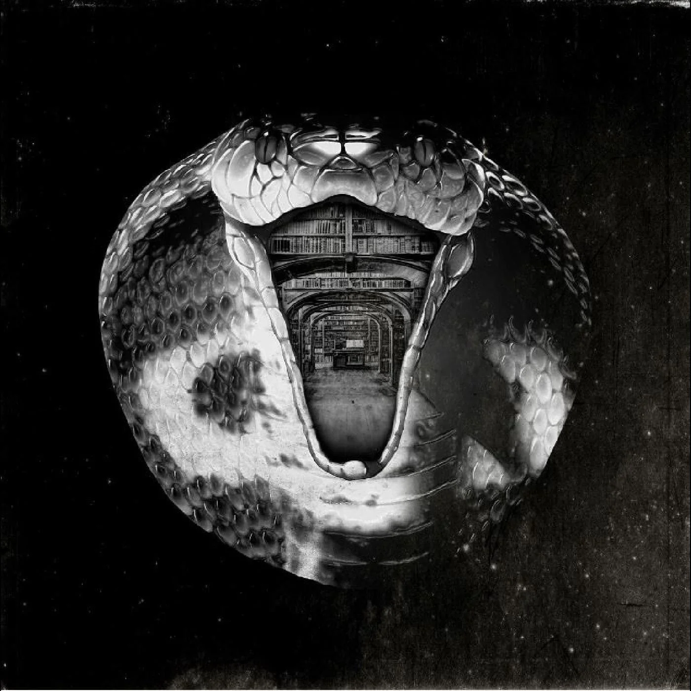 Mommyheads - Genius Killer LP NEW
