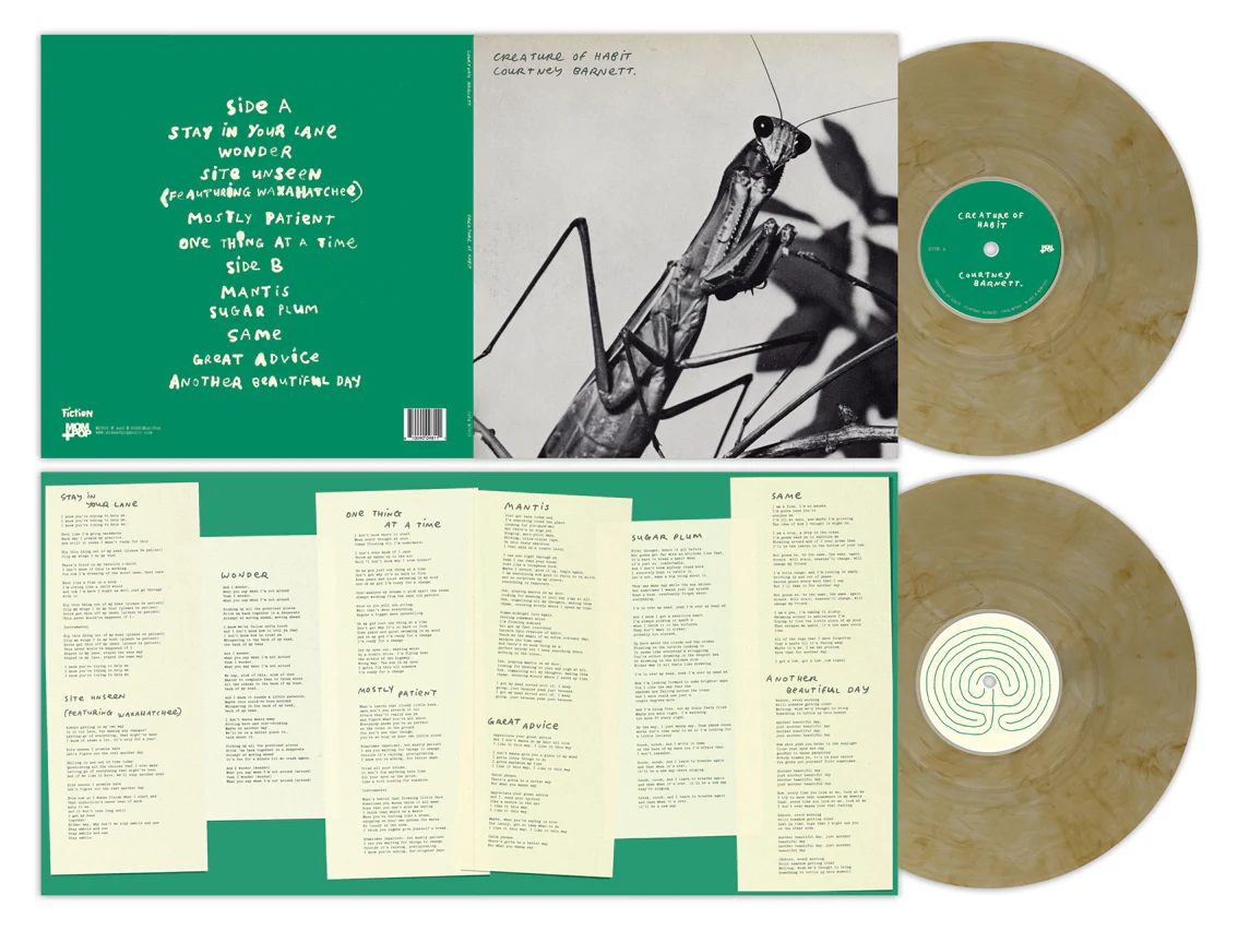 Courtney Barnett - Creature of Habit LP NEW INDIE EXCLUSIVE - Image 2