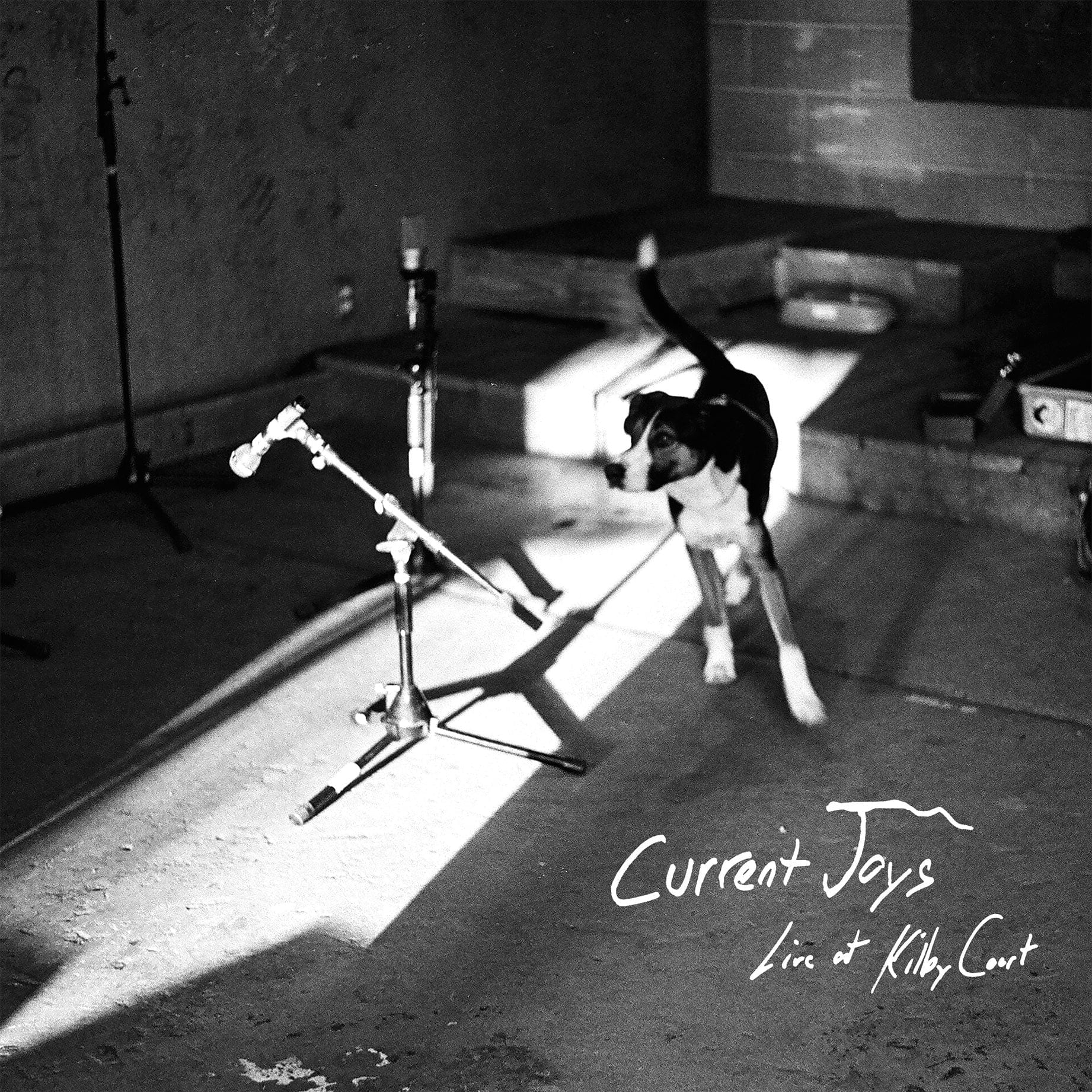 Current Joys - Live at Kilby Court 2LP NEW