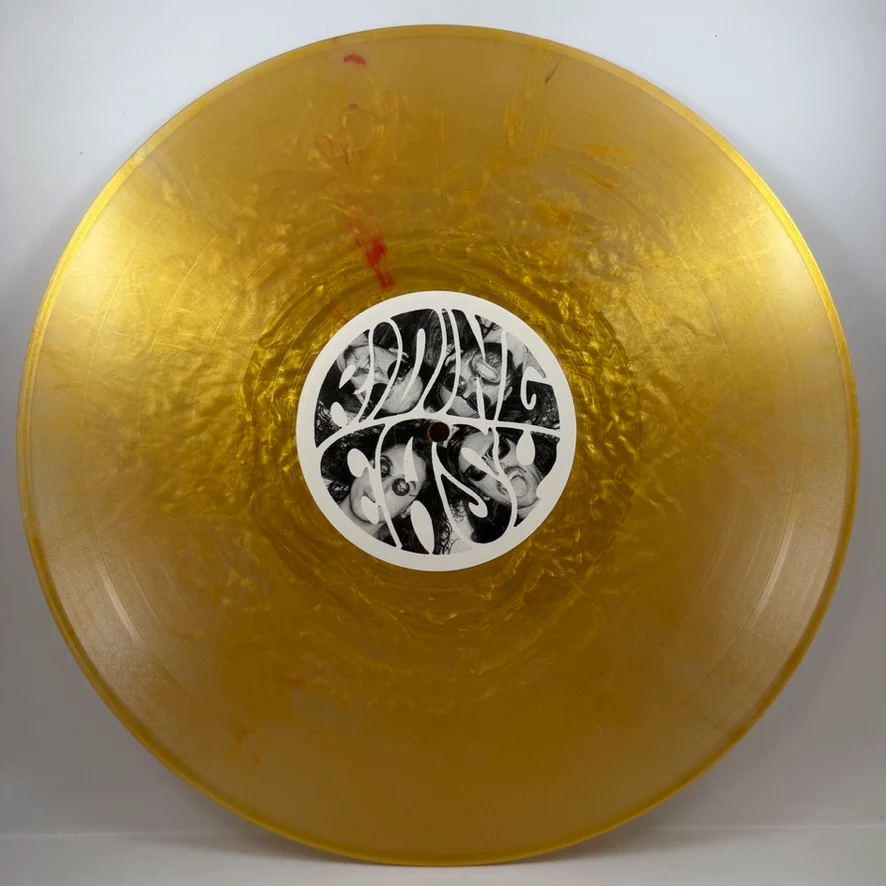 DEATHCHANT – Waste LP USED Vinyl NM/VG+ - Image 4