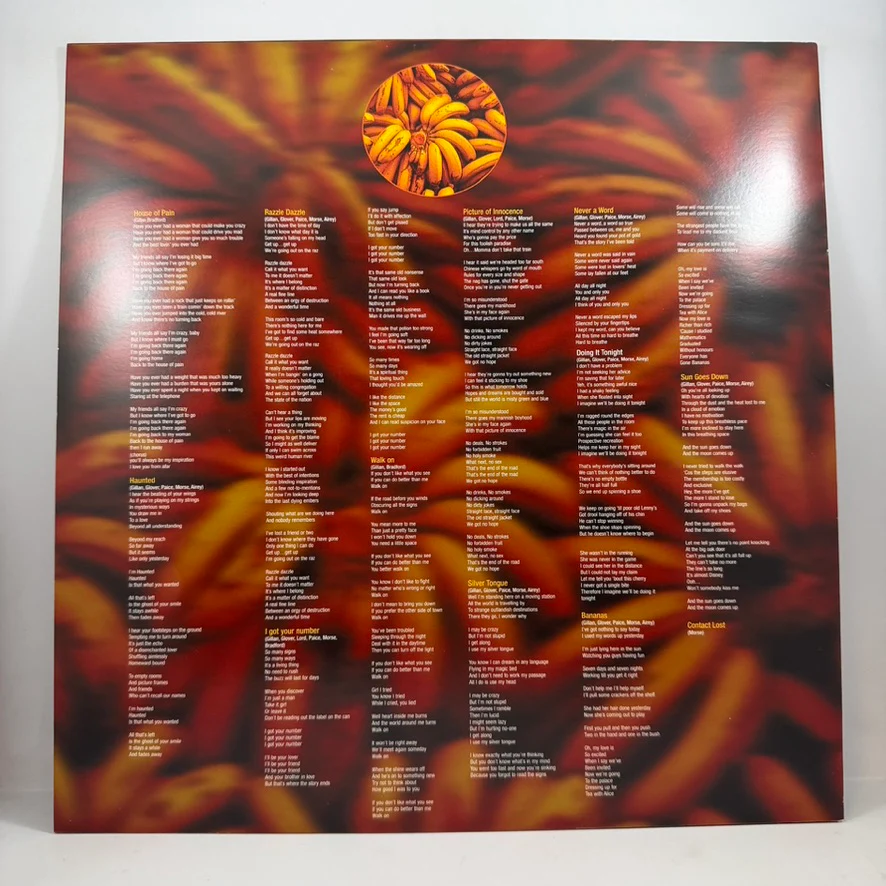 Deep Purple – Bananas LP USED Vinyl NM/NM - Image 3