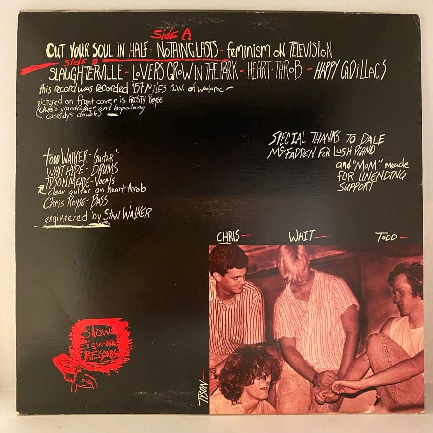 Defenestration – Defenestration LP USED NM/VG+ - Image 2