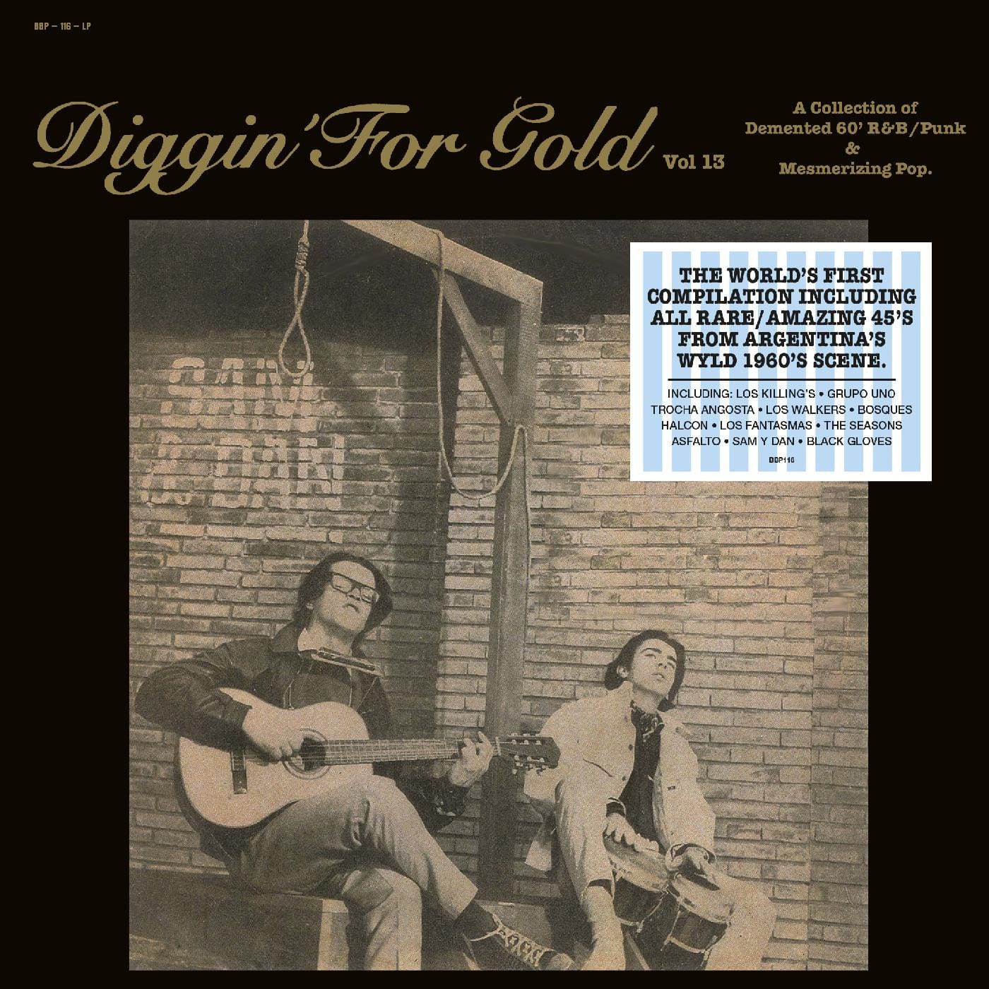 Diggin' For Gold Vol. 13 LP NEW