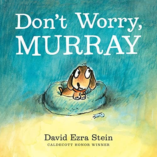 Stein, David Ezra - Don't Worry, Murray - Hardcover