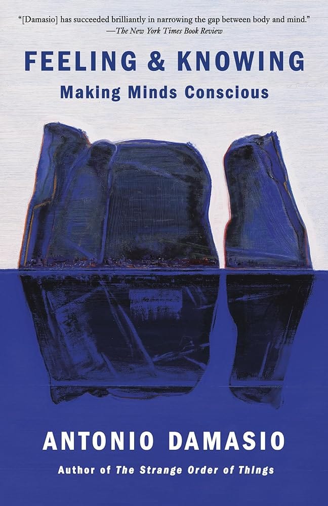 Feeling & Knowing: Making Minds Conscious by Antonio Damasio - Paperback