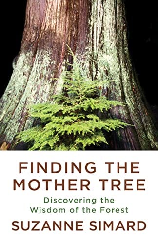 Finding the Mother Tree: Discovering the Wisdom of the Forest - Paperback