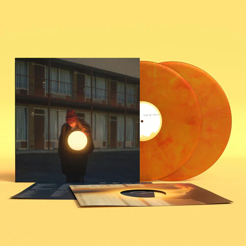 Flock of Dimes - The Life You Save 2LP NEW LOSER EDITION