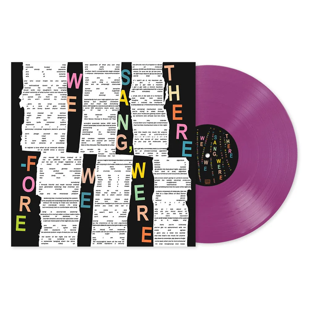 Greg Saunier - We Sang, Therefore We Were LP NEW PURPLE VINYL