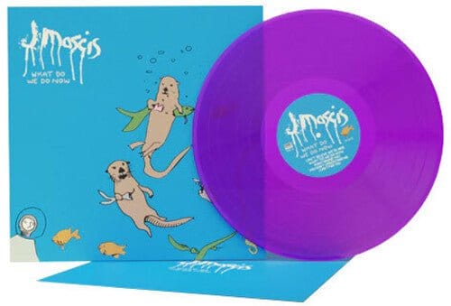 J. Mascis - What Do We Do Now LP NEW LOSER EDITION - Image 2