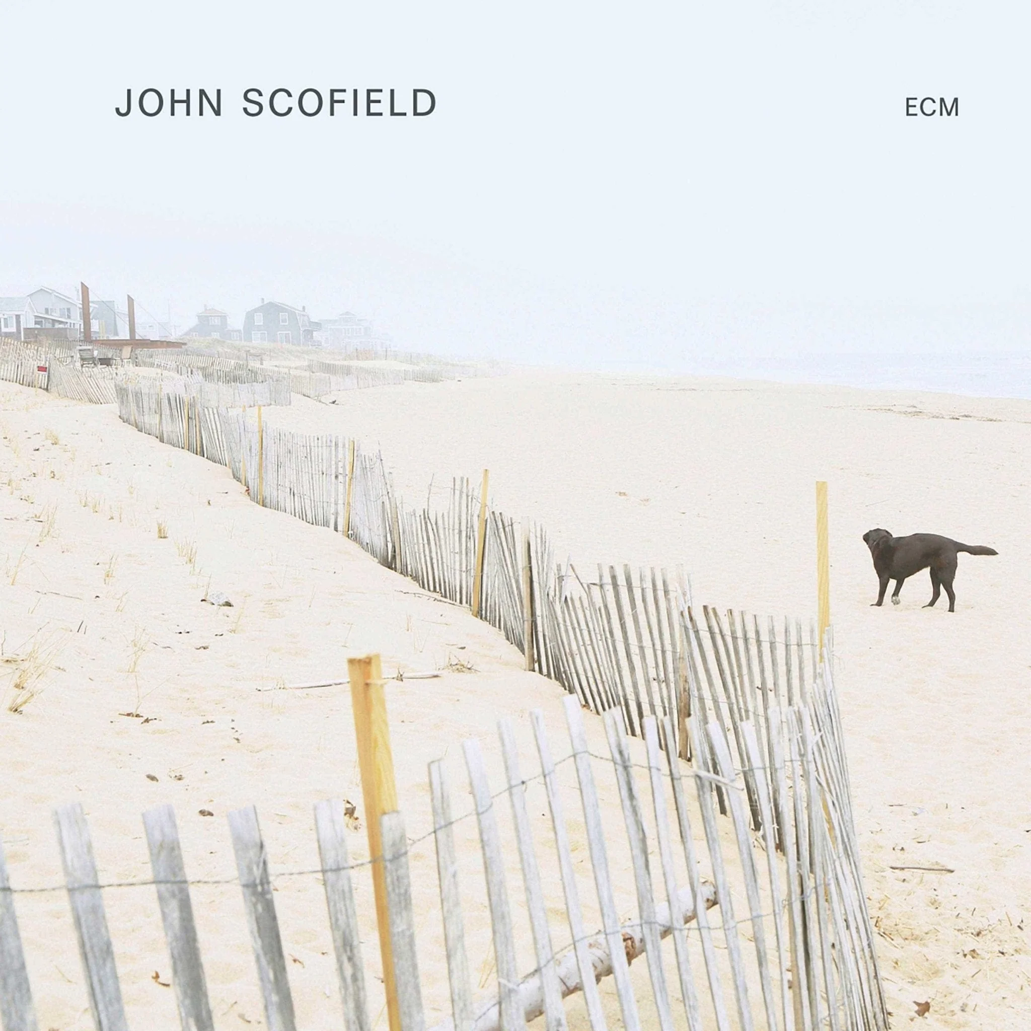 John Scofield - Self Titled LP NEW