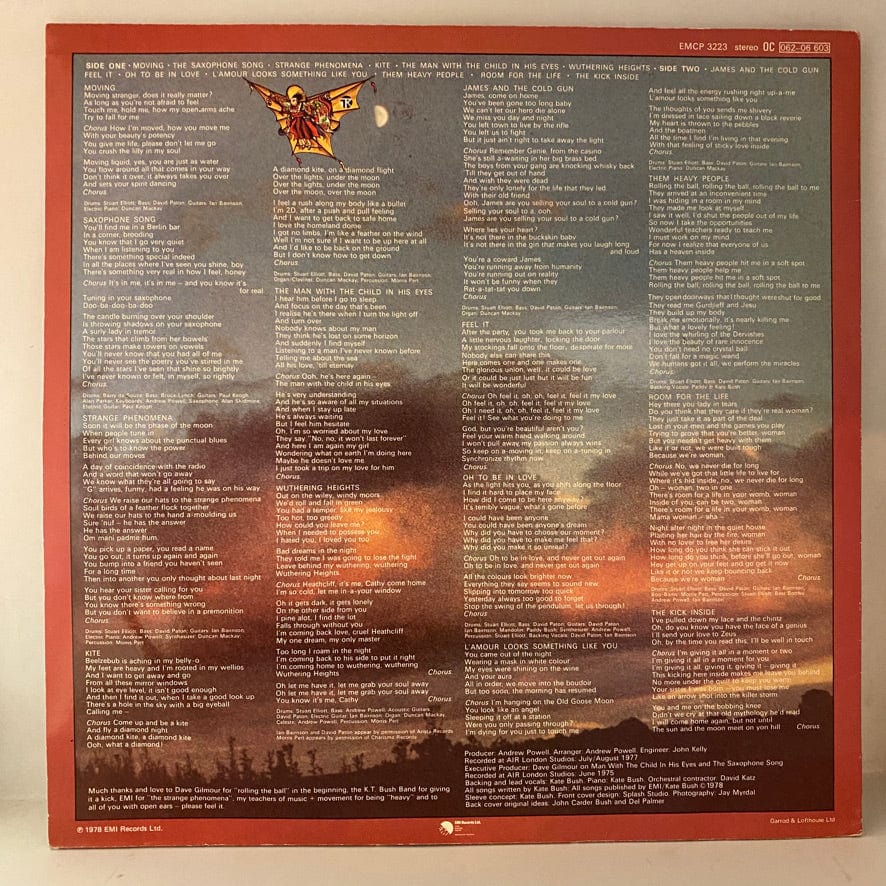Kate Bush – The Kick Inside LP USED NM/VG+ Picture Disc - Image 2