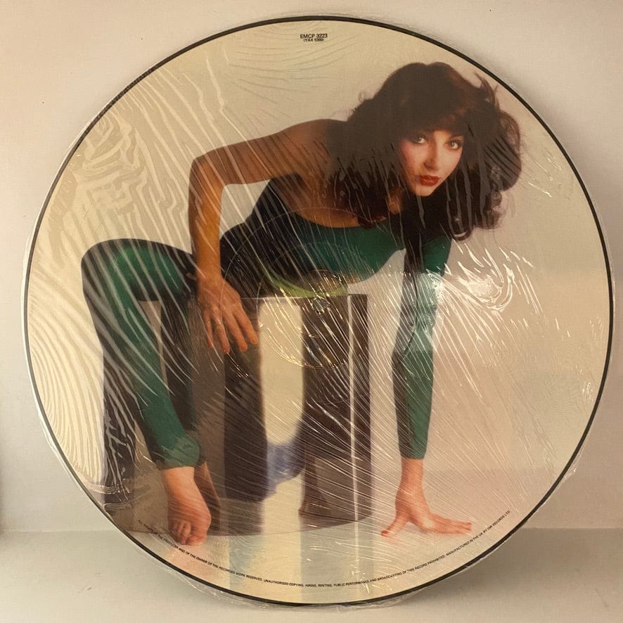 Kate Bush – The Kick Inside LP USED NM/VG+ Picture Disc - Image 4