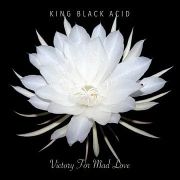 King Black Acid - Victory For Mad Love LP NEW RSD 2024