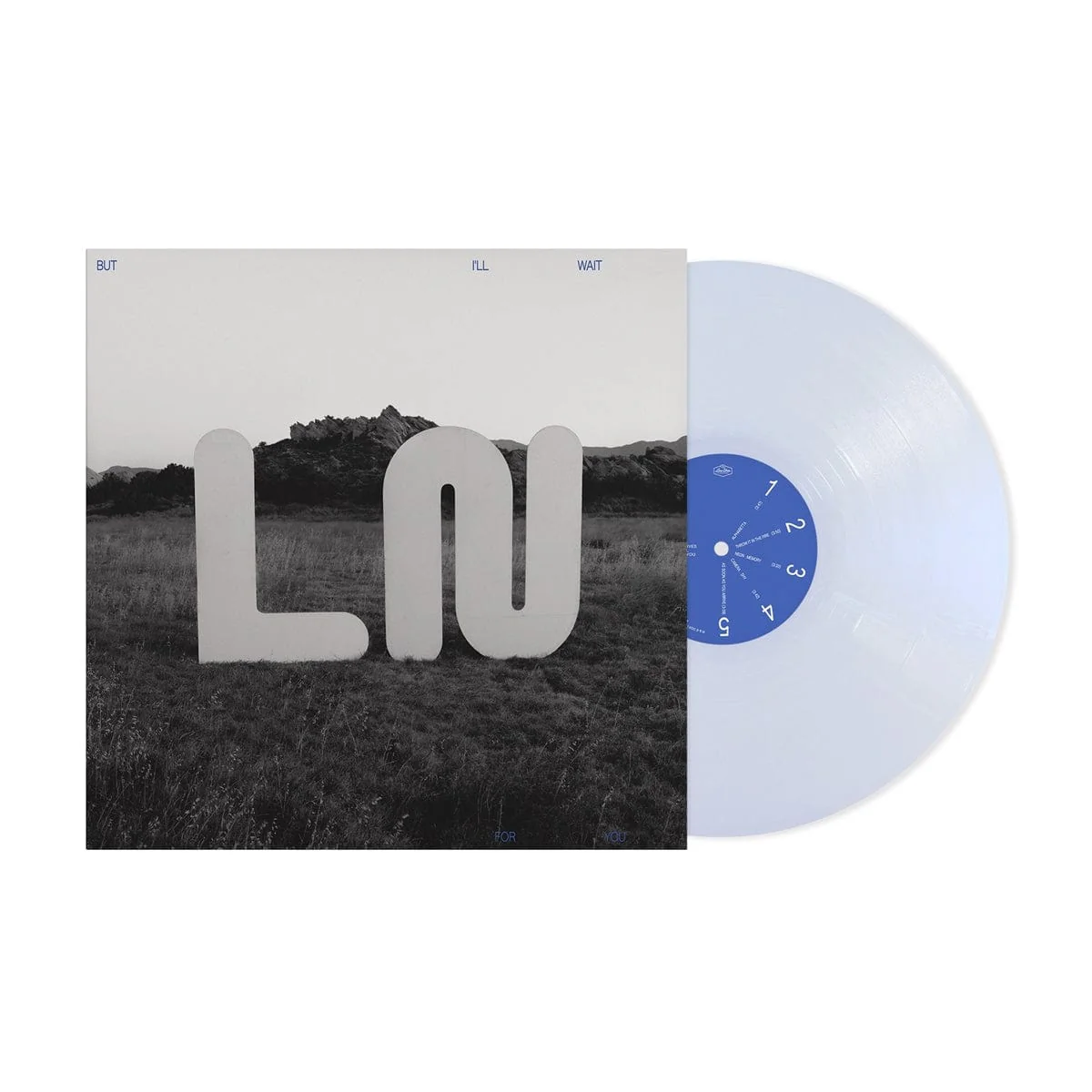 Local Natives - But I'll Wait For You LP NEW INDIE EXCLUSIVE