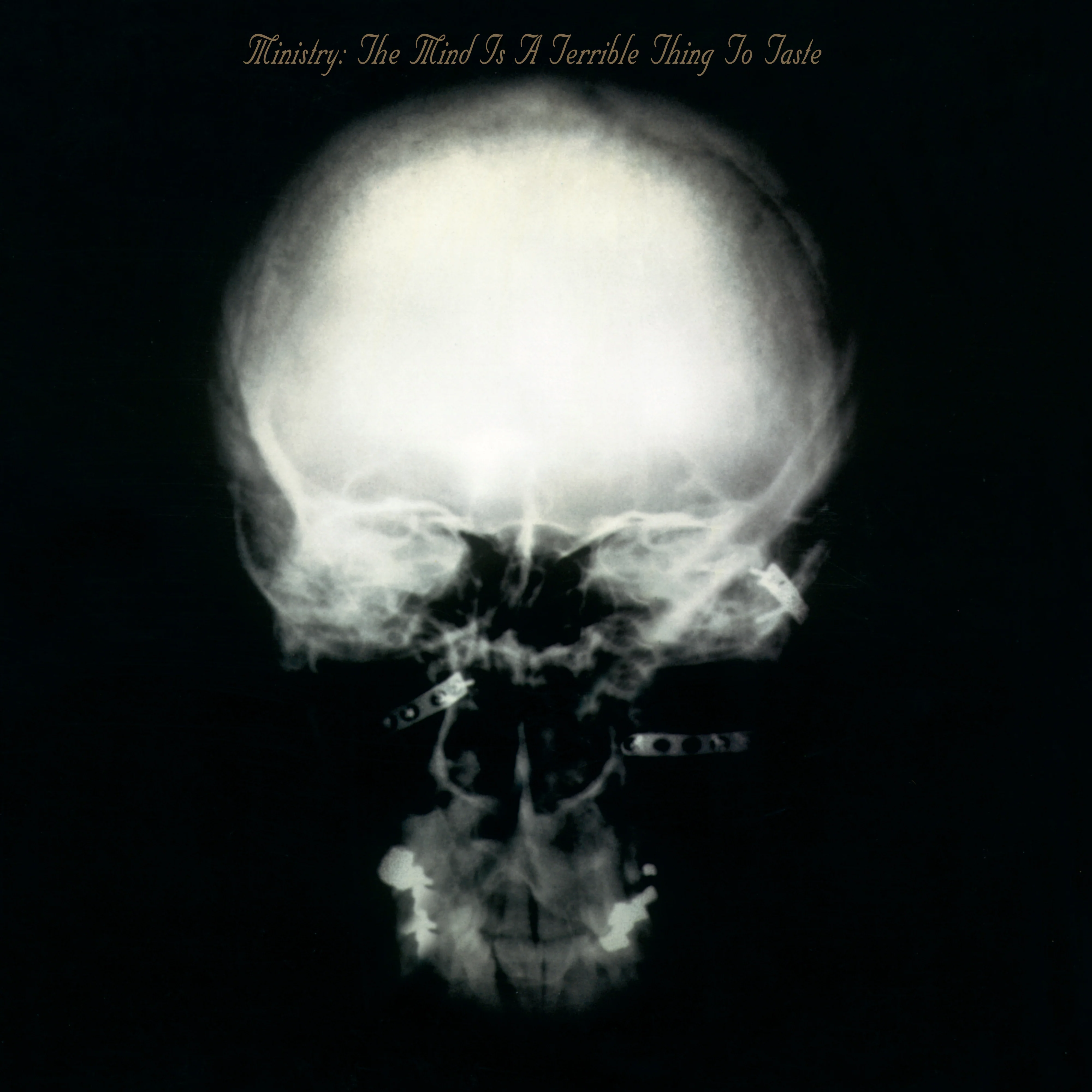 Ministry - The Mind is a Terrible Thing to Taste 2LP NEW ROCKTOBER 2025