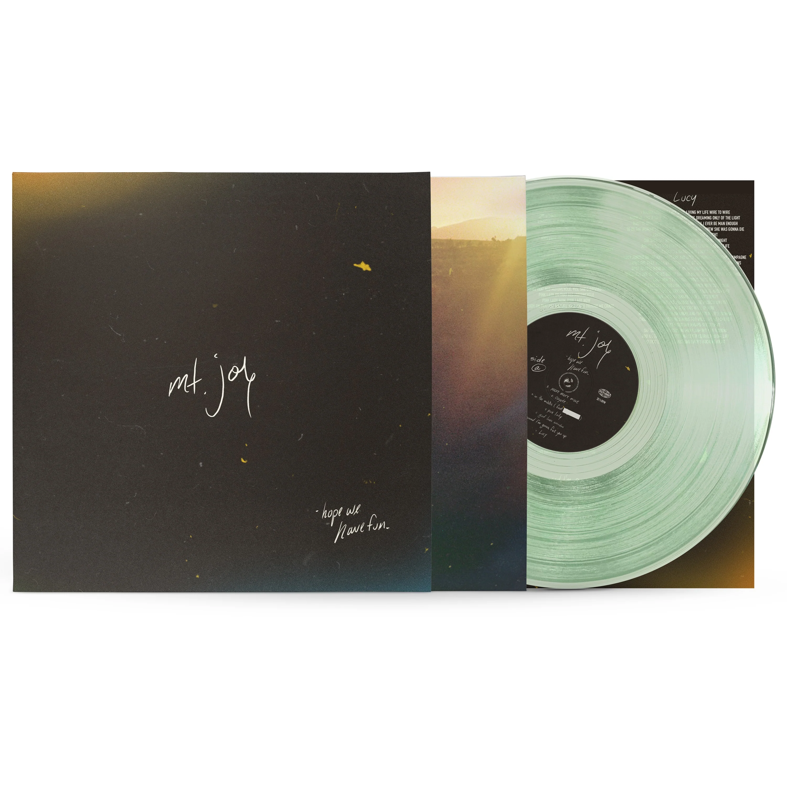 Mt. Joy - Hope We Have Fun LP NEW INDIE EXCLUSIVE