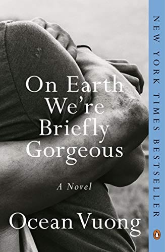 On Earth We're Briefly Gorgeous: A Novel - Paperback