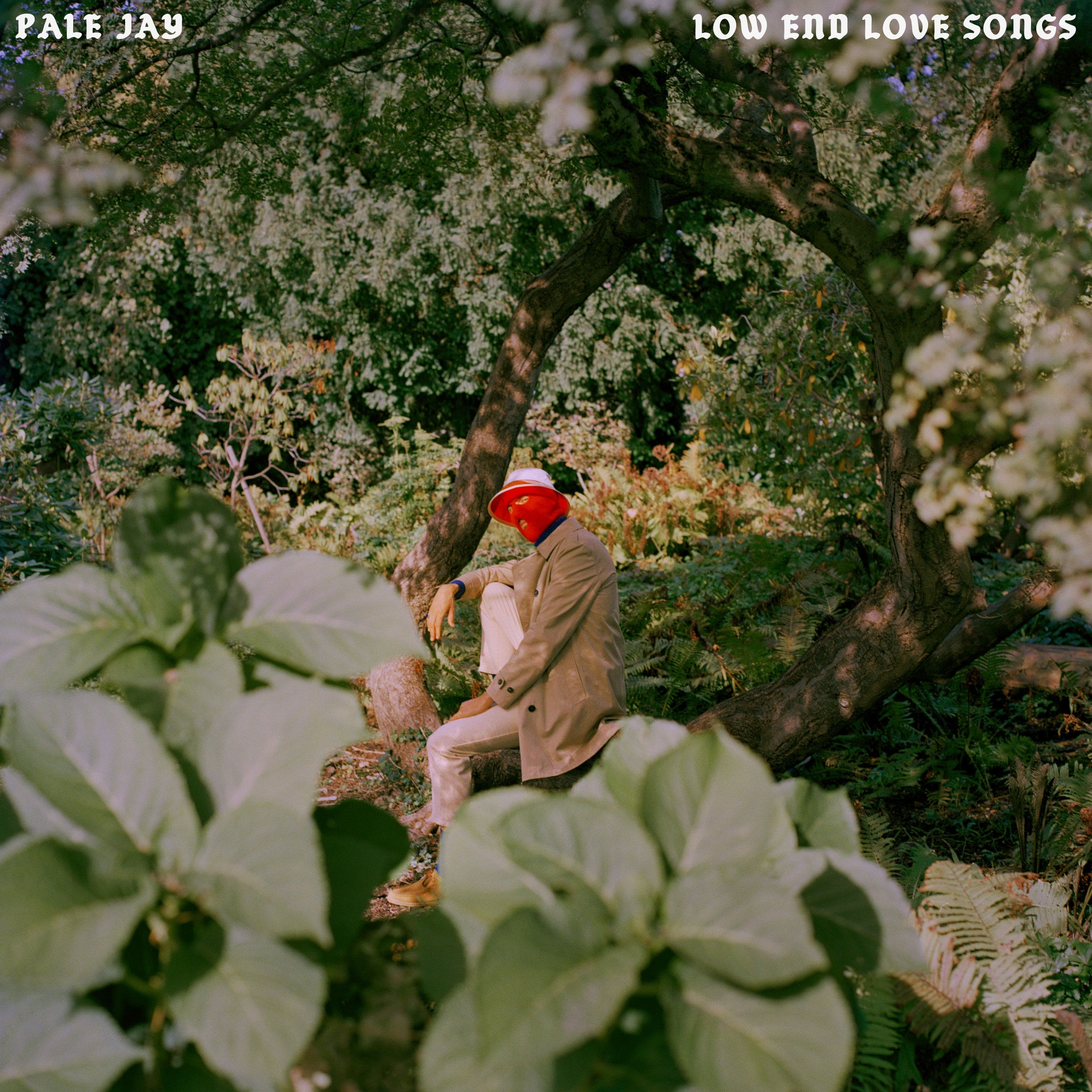Pale Jay - Low End Love Songs LP NEW COLOR VINYL