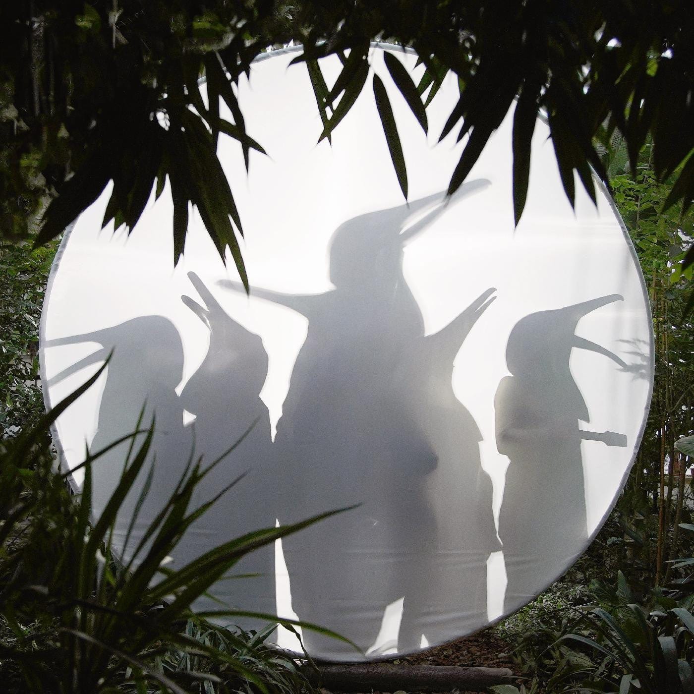 Penguin Cafe - Rain Before Seven... 2LP NEW Colored Vinyl