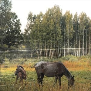 Pianos Become The Teeth - Old Pride LP NEW Colored Vinyl