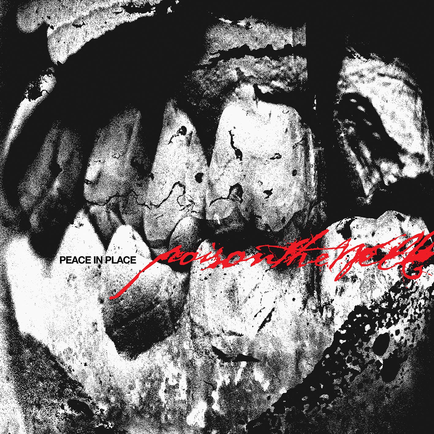 Poison The Well - Peace In Place LP NEW