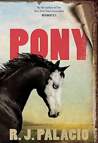 Pony - Hardcover