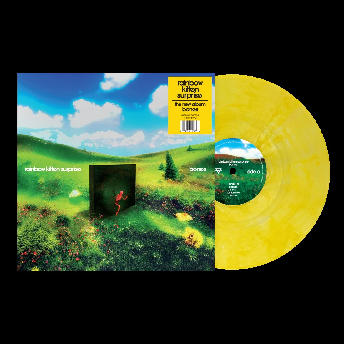 Rainbow Kitten Surprise - bones LP NEW INDIE EXCLUSIVE