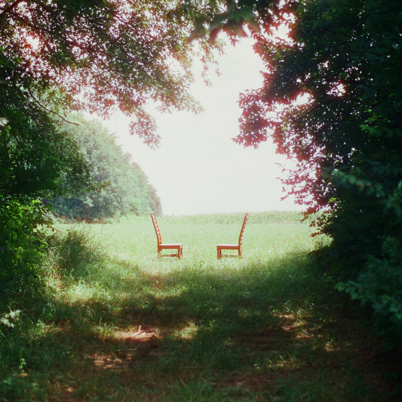 Ratboys - Singin' to an Empty Chair LP NEW Indie Exclusive
