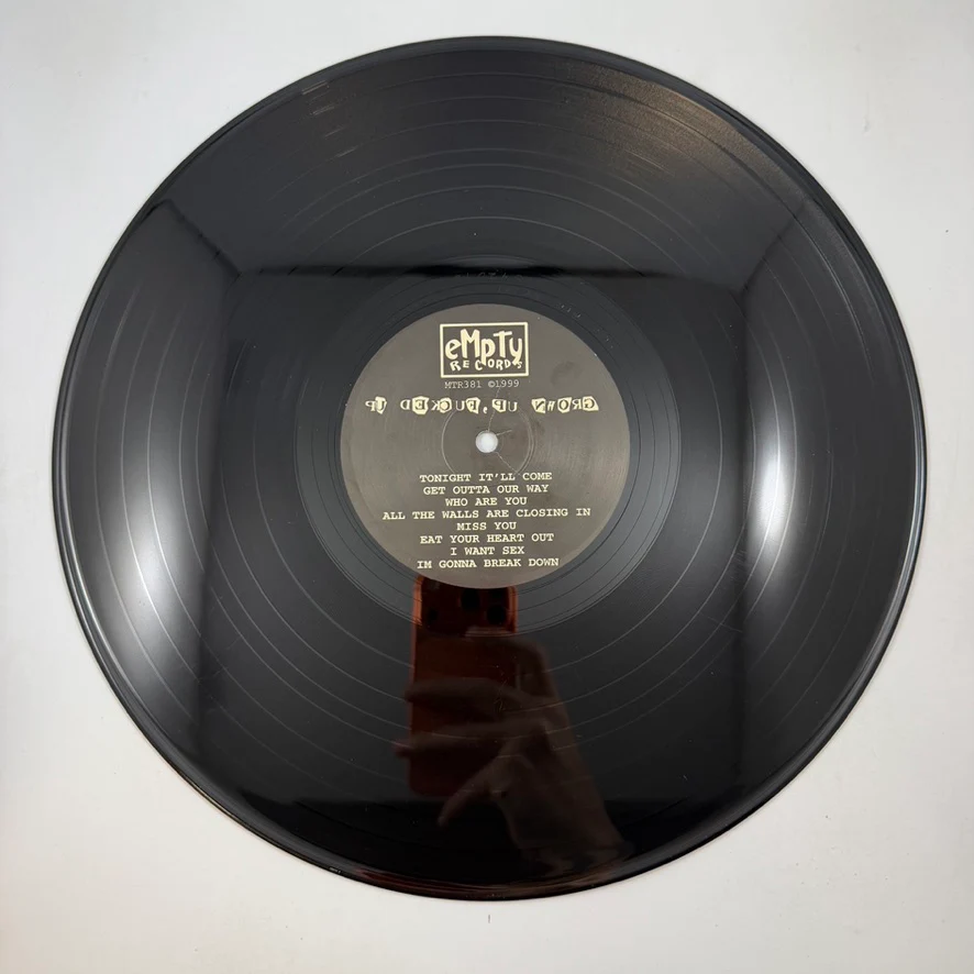 Reatards – Grown Up, Fucked Up LP USED Vinyl VG/VG - Image 4