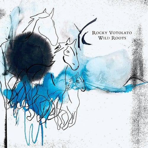 Rocky Votolato - Wild Roots LP NEW