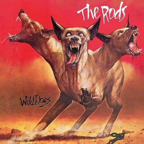 Rods - Wild Dogs LP NEW