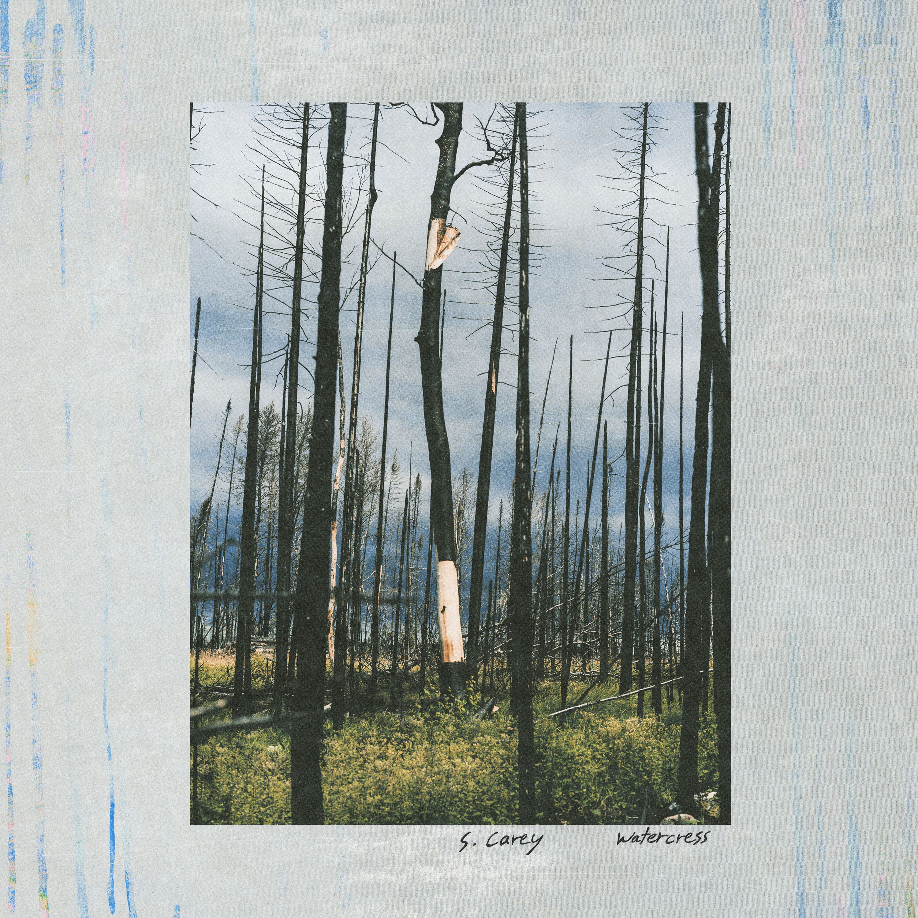 S. Carey - Watercress LP NEW