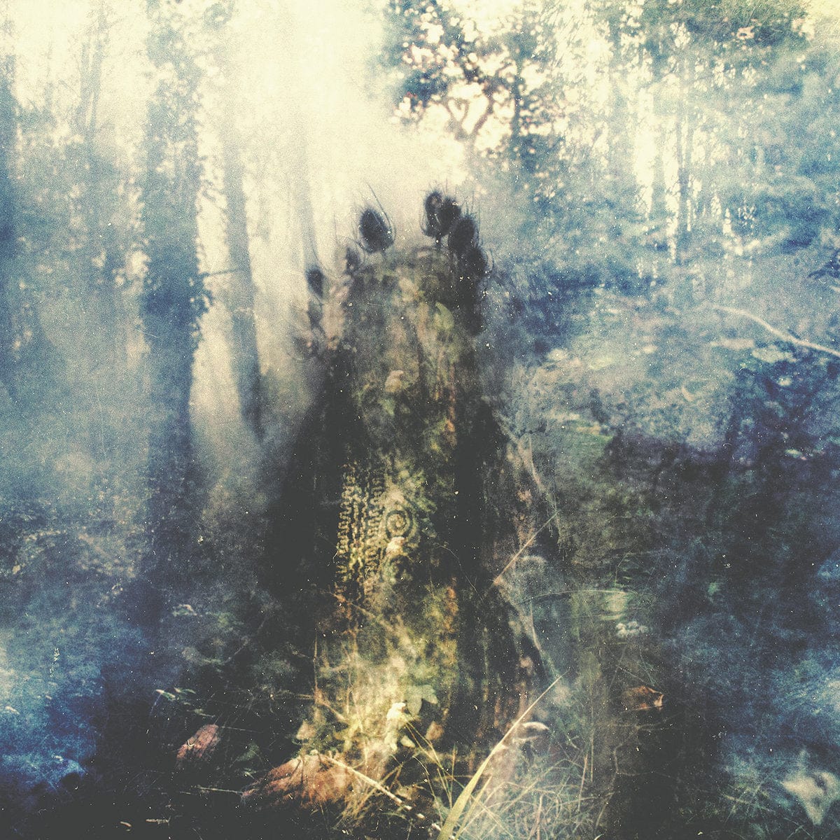 Sylvaine - Wistful 2LP NEW COLOR VINYL