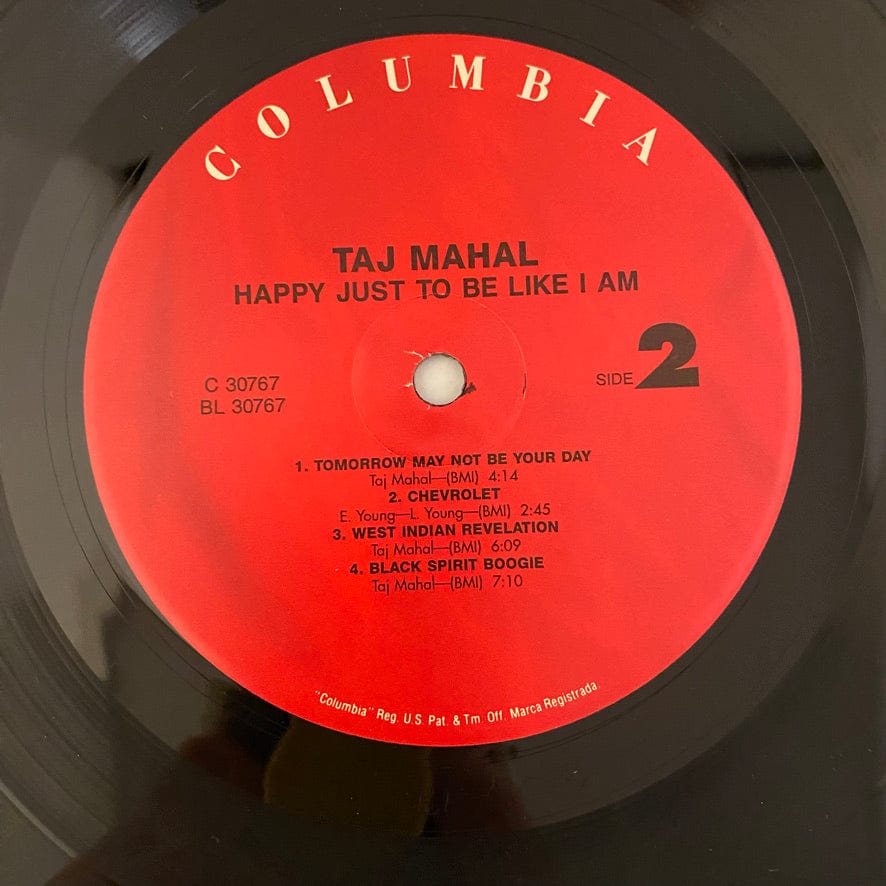 Taj Mahal – Happy Just To Be Like I Am LP USED VG++/VG++ - Image 4