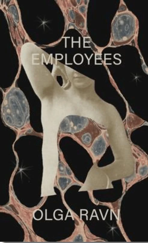 The Employees: A Workplace Novel of the 22nd Century - Ravn, Olga - Hardcover