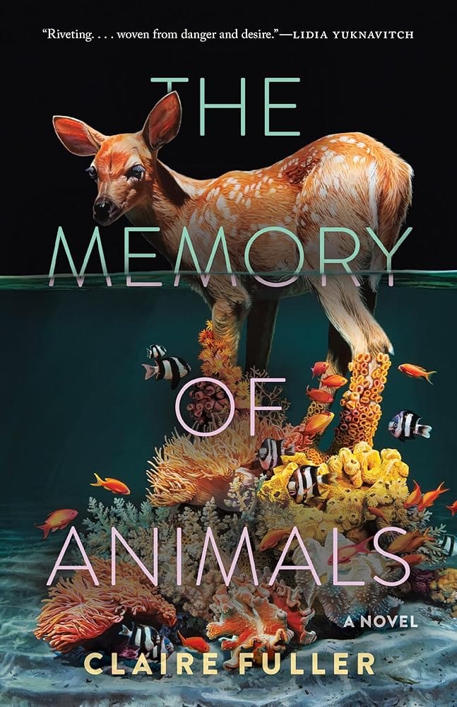 The Memory of Animals by Claire Fuller - Paperback
