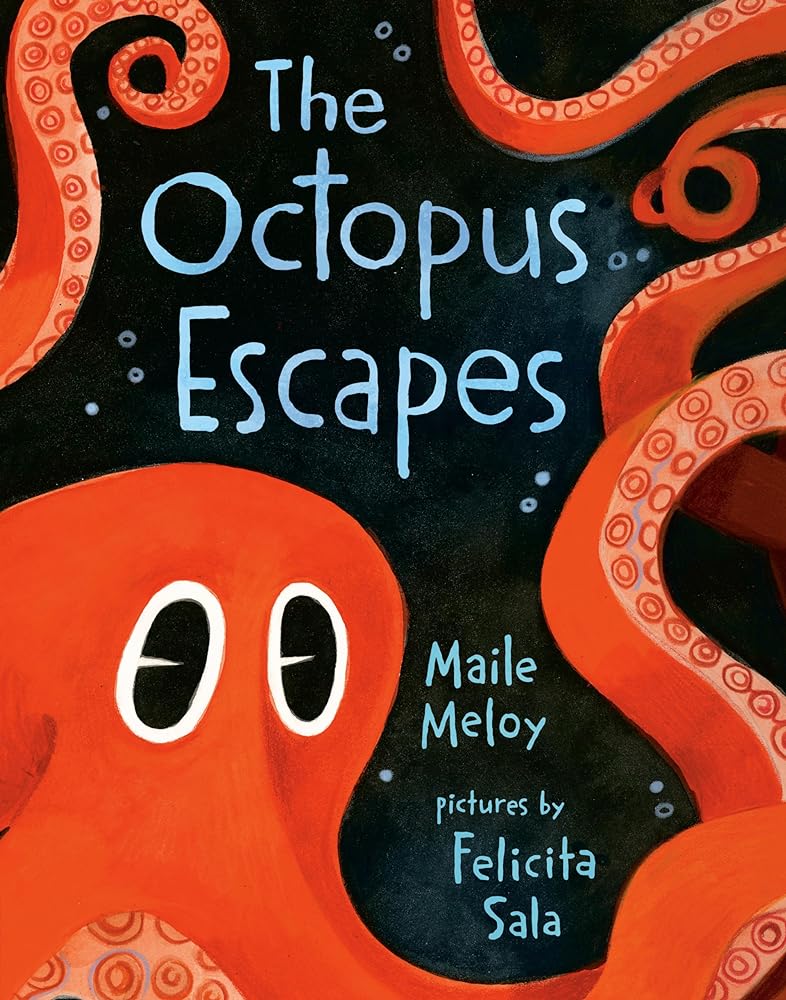 The Octopus Escapes by Maile Meloy, Felicita Sala