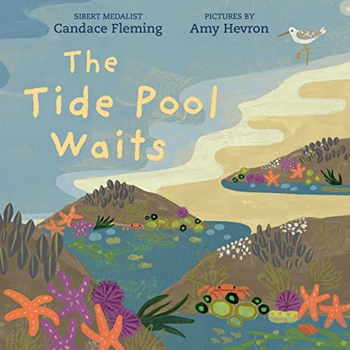 The Tide Pool Waits - Fleming, Candace - Hardcover