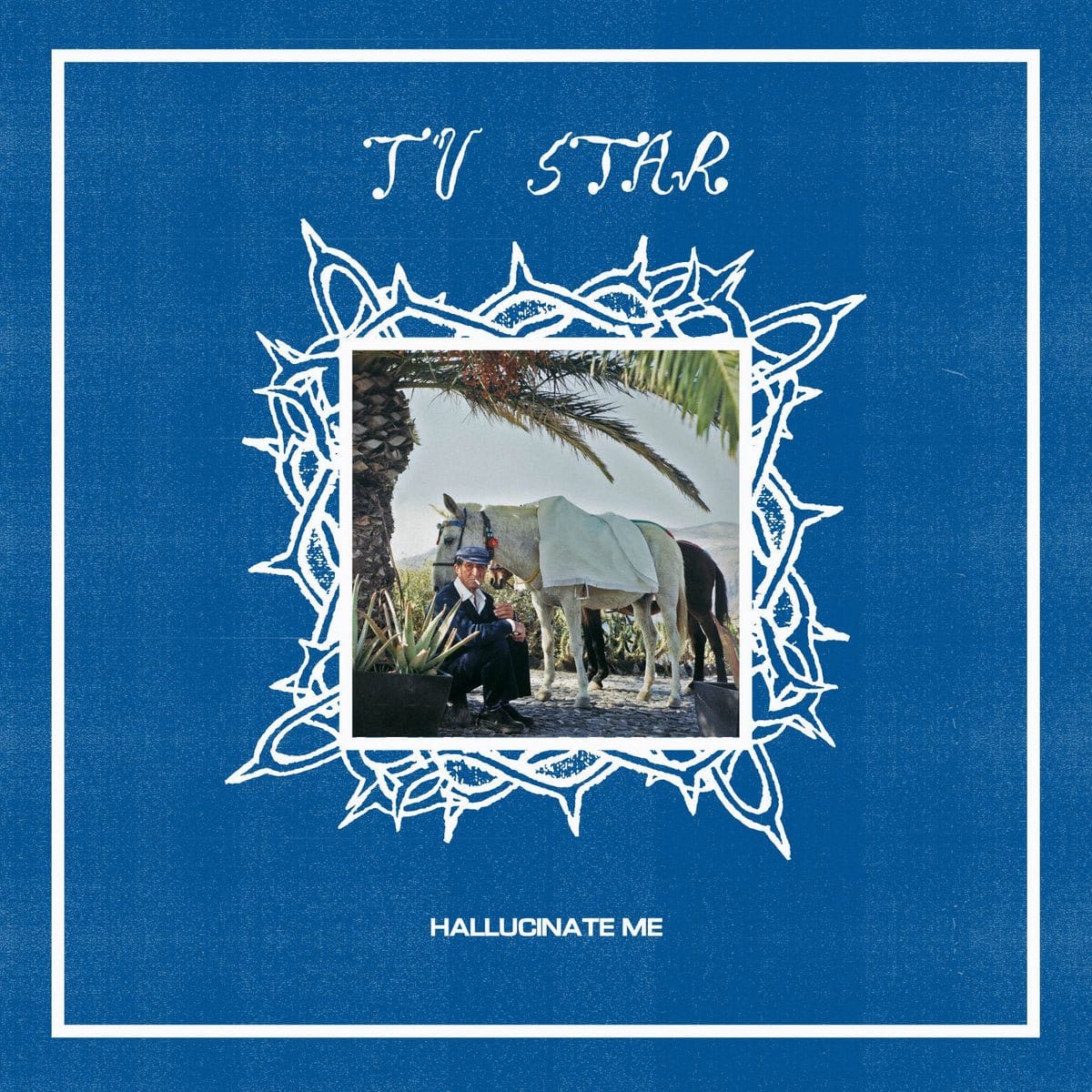 TV Star - Hallucinate Me LP NEW